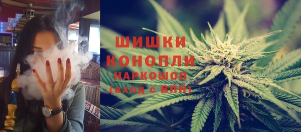 PSILOCYBIN Гусиноозёрск