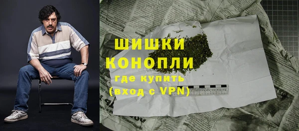 PSILOCYBIN Гусиноозёрск