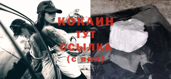 ALPHA PVP Гусев