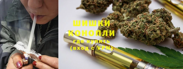 ALPHA PVP Гусев