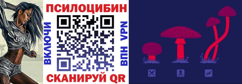 Псилоцибиновые грибы Psilocybe Купить Игра